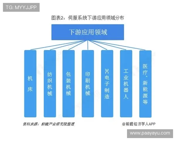PA电子游戏在全球市场的竞争格局与行业发展分析 PA电子游戏在全球市场的竞争格局与行业发展分析