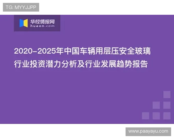 亚博竞猜网安全保障措施详解保障玩家资金安全与隐私 亚博竞猜网安全保障措施详解保障玩家资金安全与隐私