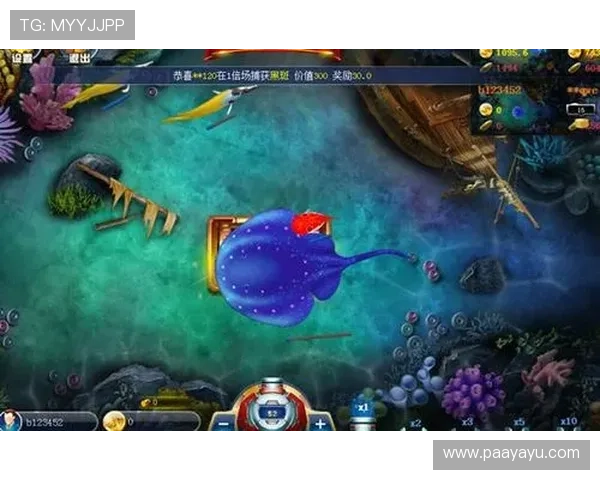 如何掌握ag捕鱼王技巧实现高额奖金的实战经验和技巧分析