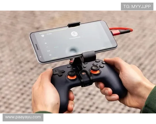 2024年开云游戏网址如何获取最新登录链接保证每次都能顺利进入游戏环境的详细分析 2024年开云游戏网址如何获取最新登录链接保证每次都能顺利进入游戏环境的详细分析