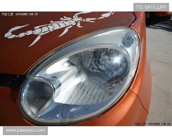 开云登录便捷方式教程帮助用户快速实现账户访问