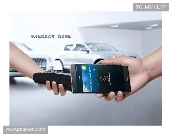 开云手机官网支付方式全解,支持多种安全便捷的支付途径保障交易安全 开云手机官网支付方式全解,支持多种安全便捷的支付途径保障交易安全