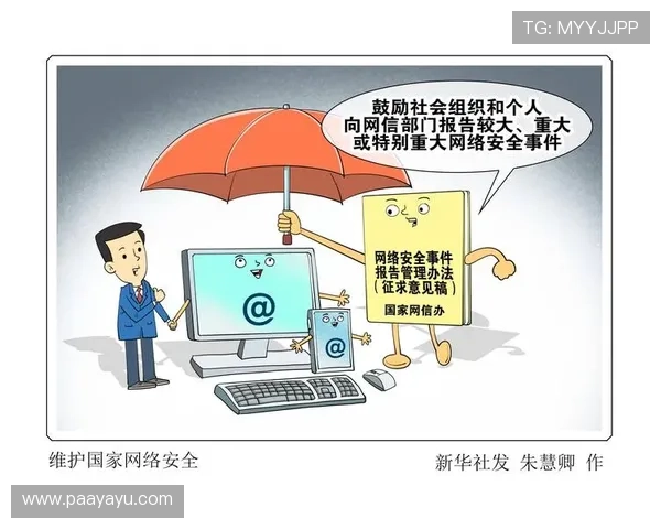 了解DG视讯的安全保障措施，确保每一位用户的隐私与数据安全