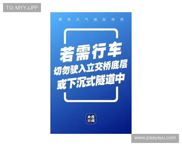 利来ag官方入口提供最新最全的登录指南确保玩家安全顺畅进入游戏体验