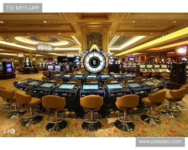 凯发真人在线观看免费体验,开启你的精彩博彩之旅 凯发真人在线观看免费体验,开启你的精彩博彩之旅