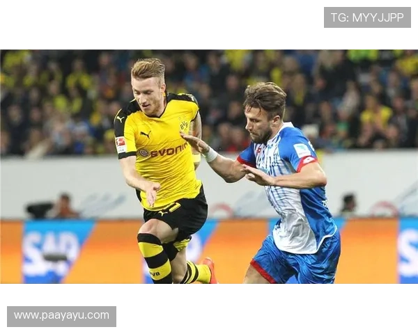 开云真人体育娱乐：专业安全保障的体育线上娱乐新体验