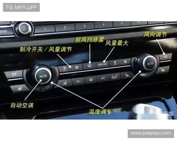 凯发真人版会员注册指南全面解析新手快速注册攻略