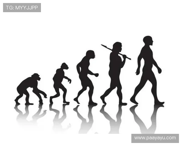 多宝视讯是哪个国家的企业,探究其起源和发展历史 多宝视讯是哪个国家的企业,探究其起源和发展历史