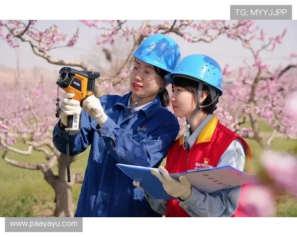 深入了解K8真人厅的客户服务体系，享受全天候全方位的专业支持