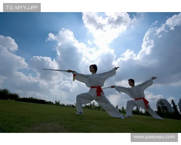 腾龙真人现场互动环节揭秘让观众零距离感受武术的魅力与传统文化的传承