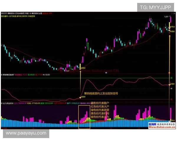 dg视讯厅官网多重安全措施，确保玩家信息与资金的绝对安全